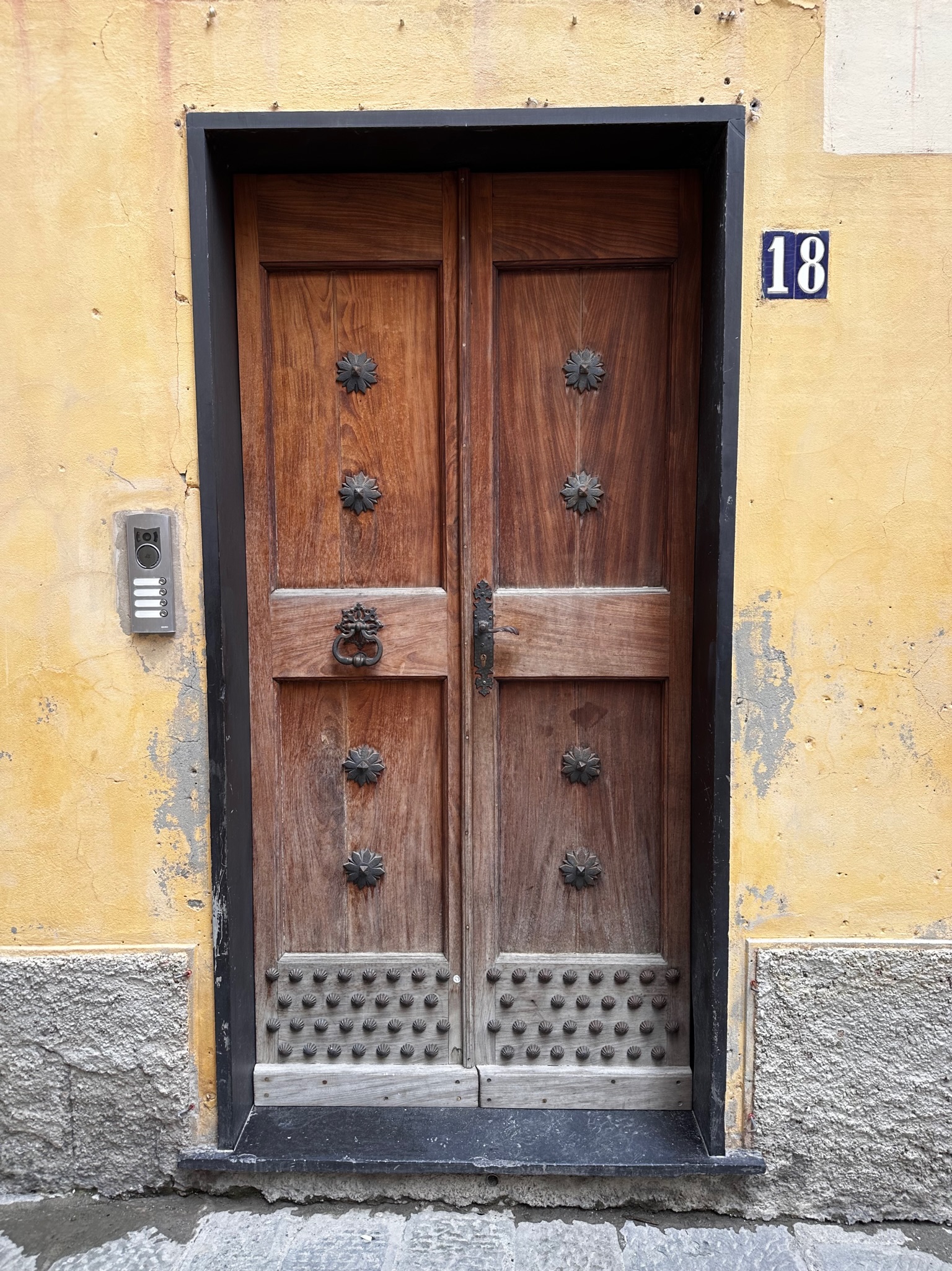 Big Studs Door