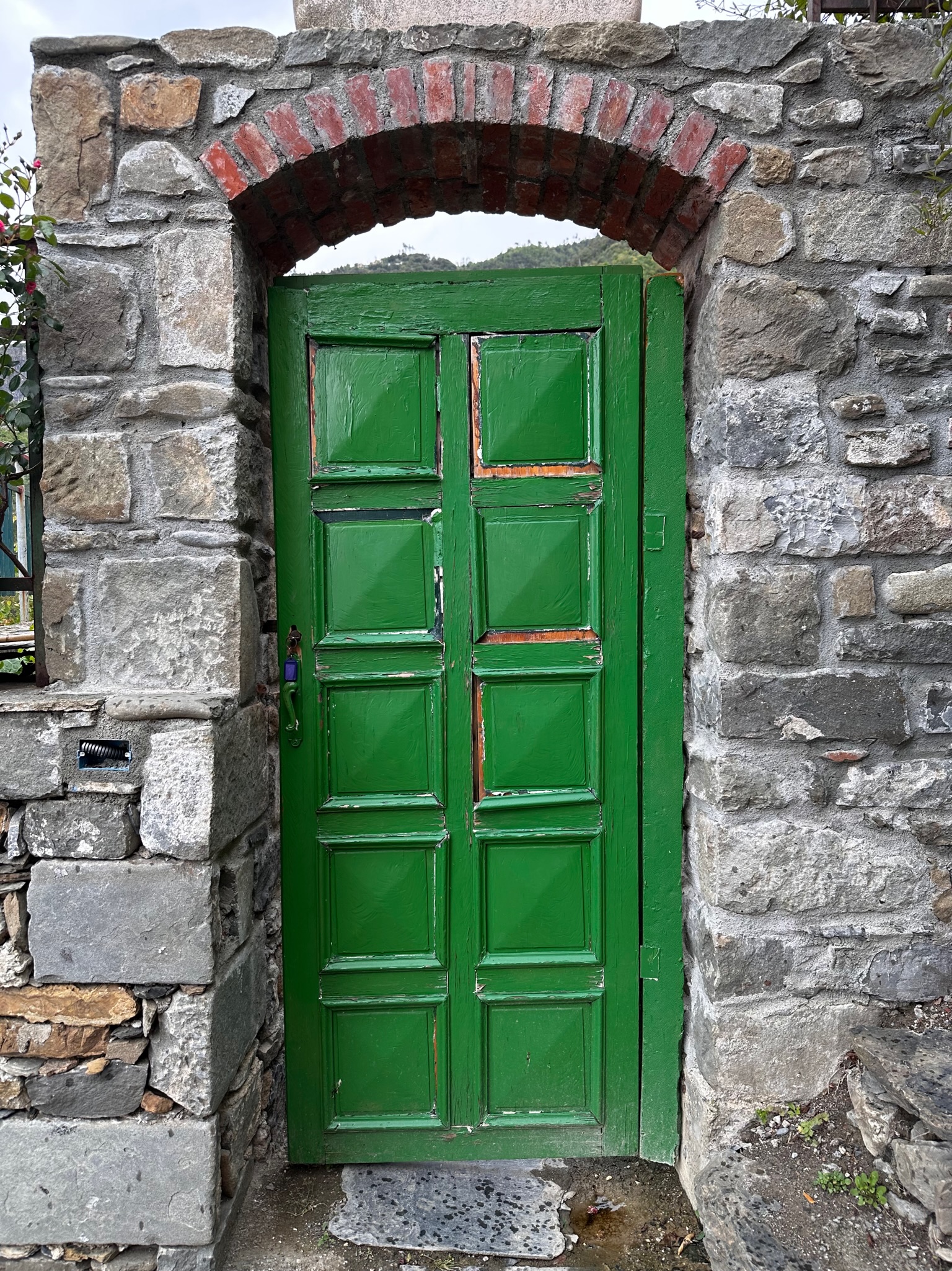 Green Weathered Door