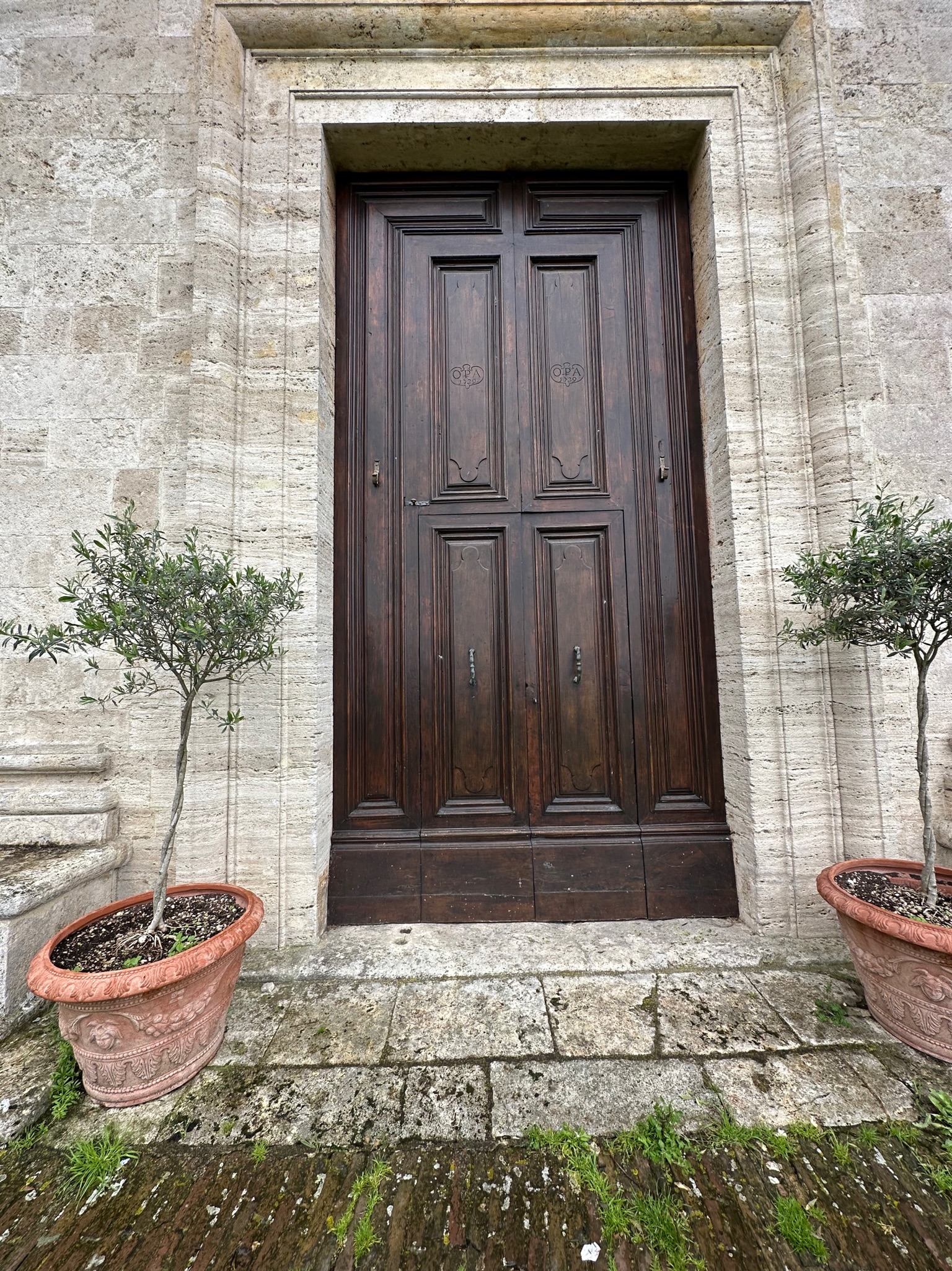 Olive Door