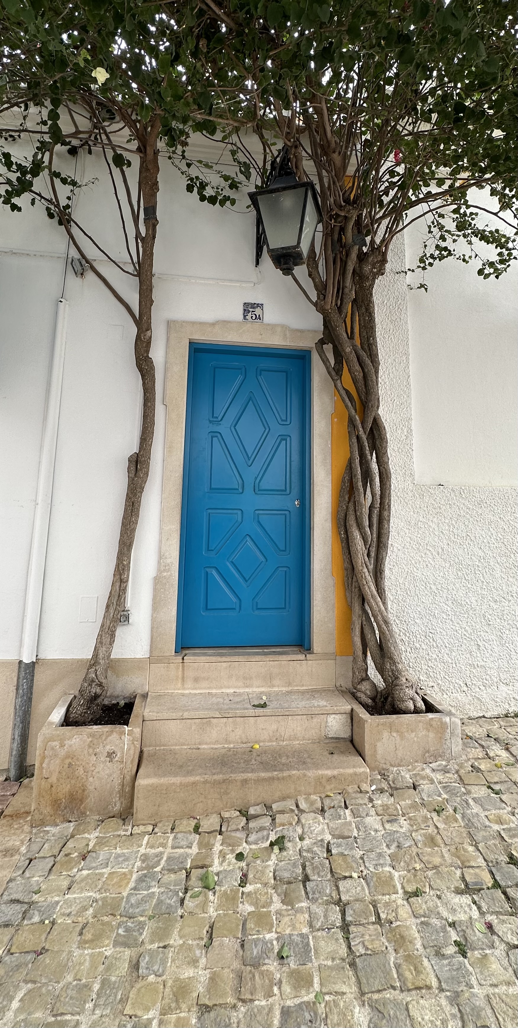 Blue Door with Trees